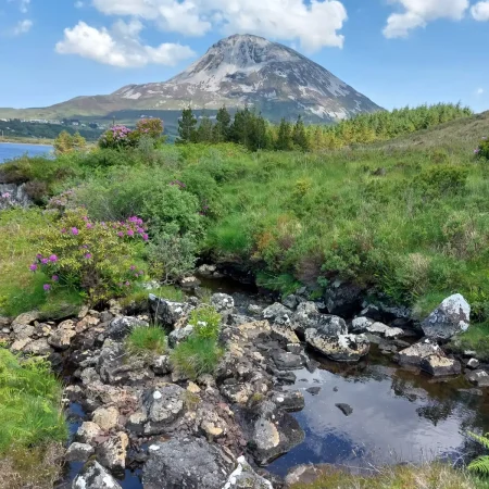 Pic citizen science webinar