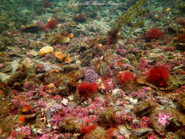 image (1)