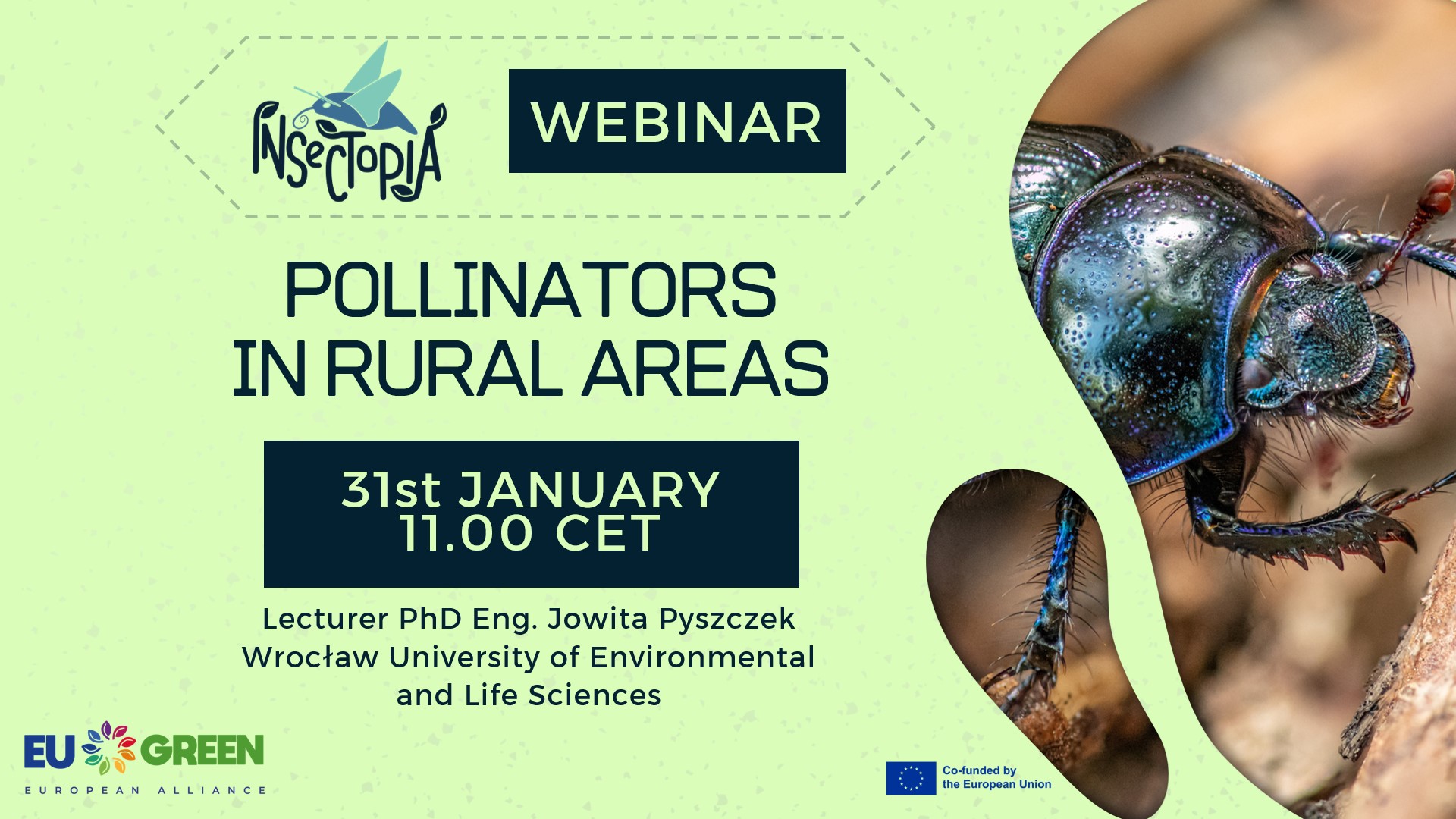 WEBINARS INSECTOPIA – Poster 1 – Pollinators in rural areas