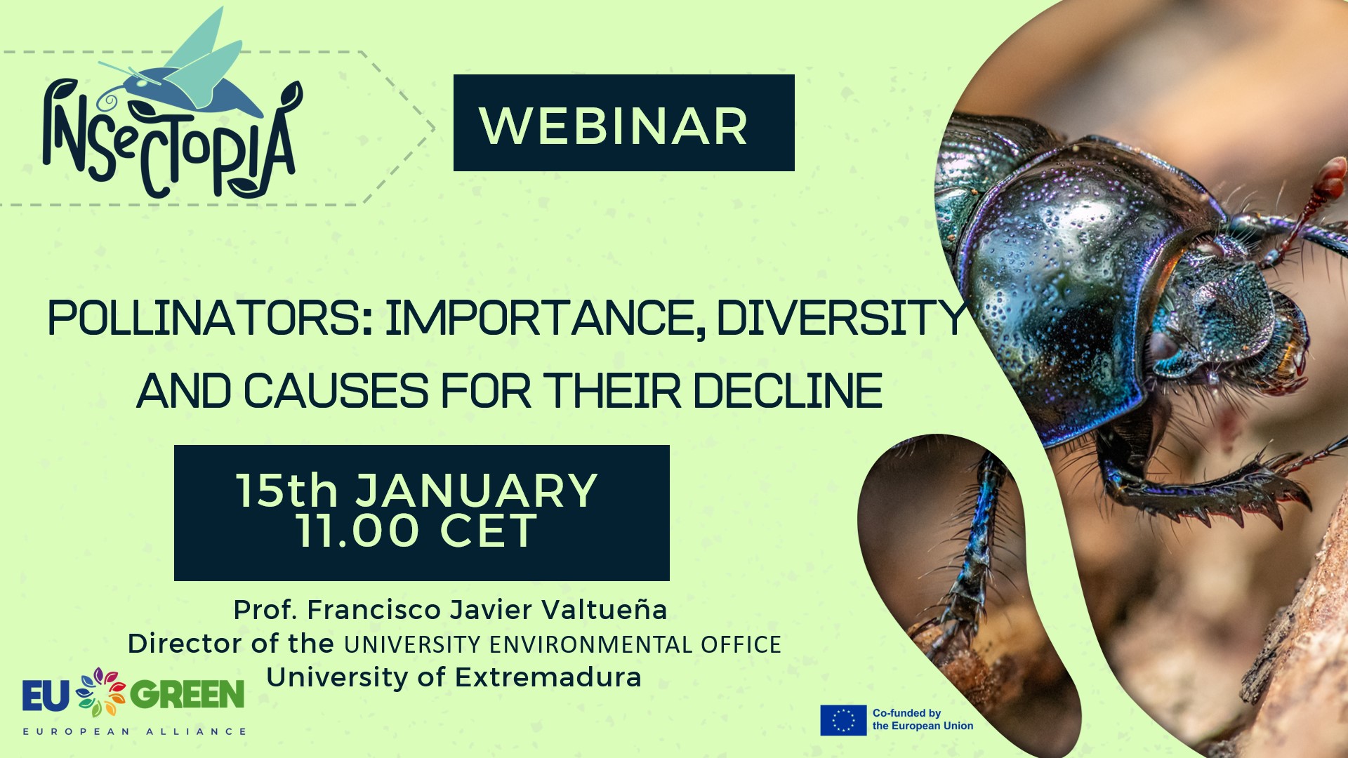 WEBINARS INSECTOPIA – Poster – Pollinators -VALTUEÑA