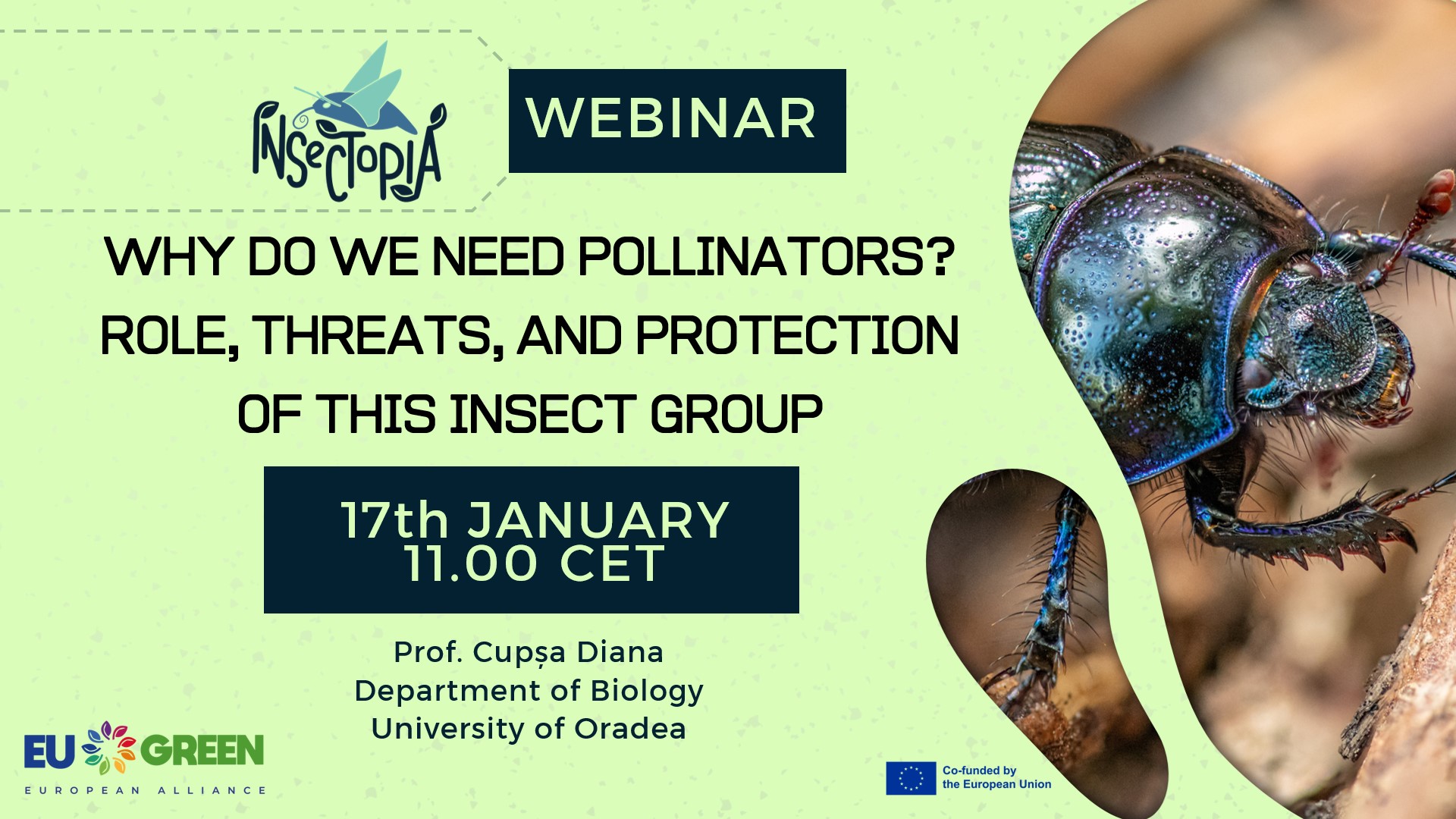 WEBINARS INSECTOPIA – Poster – Why do we need pollinators – CUPSA