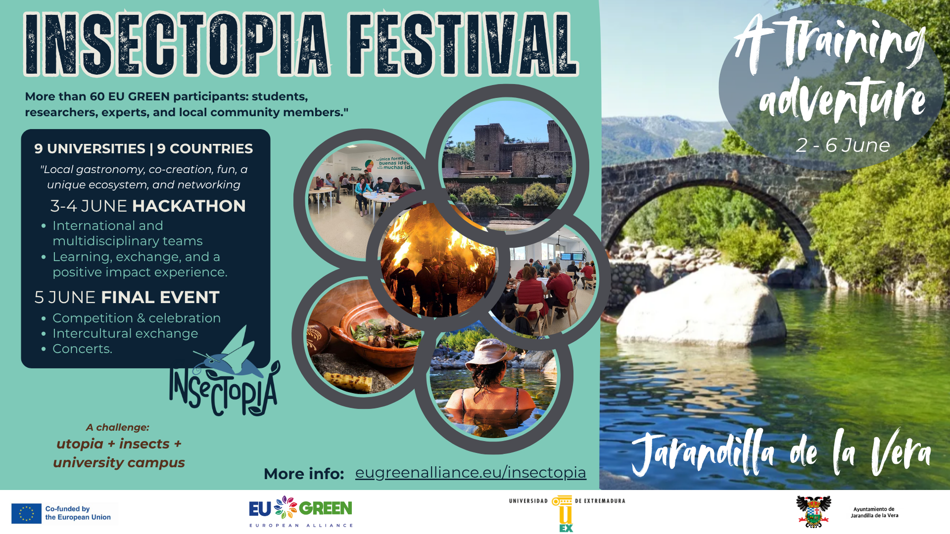 INSECTOPIA FESTIVAL FRONT PAGE